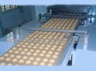 Dây chuyền chiết bánh trứng